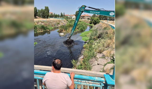 Alpu rahat nefes aldı: Sivrisinek ve koku sorunu tarih oldu