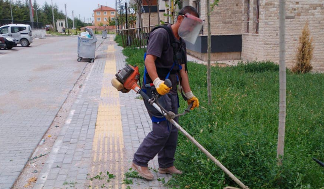 Çifteler Belediyesi çim biçme çalışması gerçekleştirdi