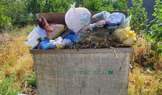 Karabayır Bağları'nda biriken çöpler dağ gibi oldu