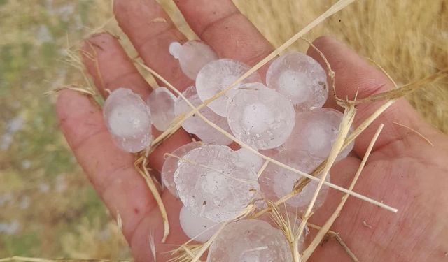 Eskişehir'de sağanak ve dolu ekili alanları vurdu