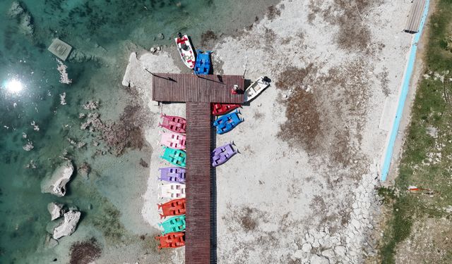 Bilim insanları Sakaryabaşı'ndaki kurumanın nedenini araştırıyor