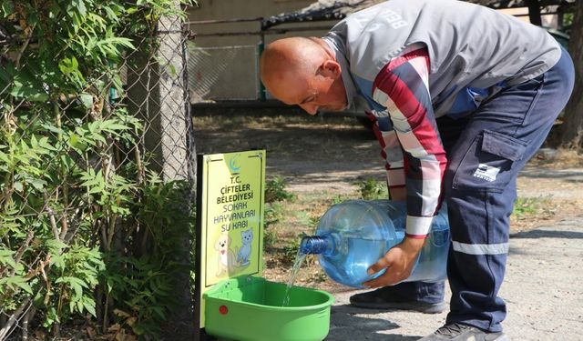 Çifteler Belediyesi Başkanı Konakcı, çalışmalarını anlattı