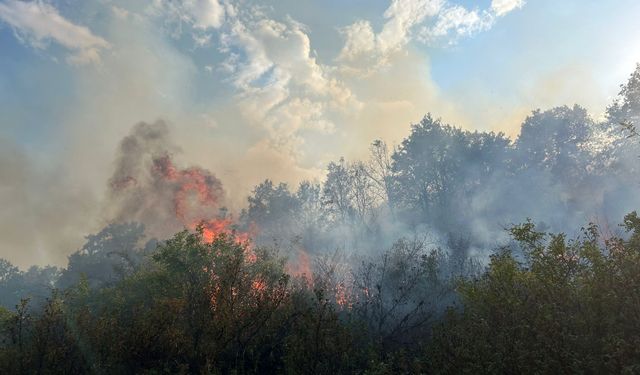 Komşuda korkutan yangın: 2 saatte söndürülebildi