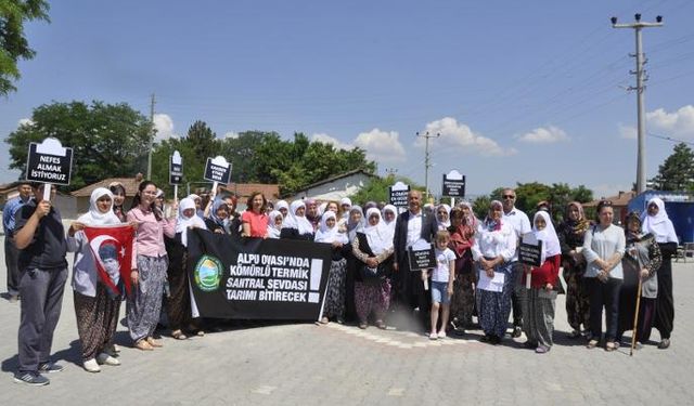 Alpu’ya termik santral için bir başvuru daha