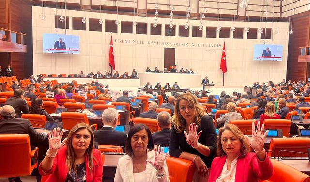 CHP'li Süllü ‘kırmızı boyalı eldiven’ protestosuna katıldı