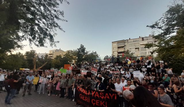 "Sokak hayvanları sahipsiz değil"