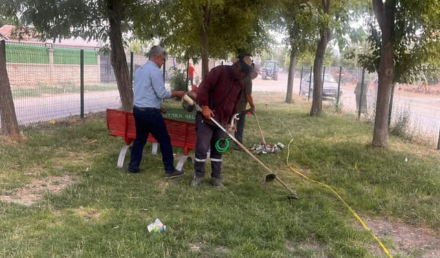 Alpu Belediyesi'nden yabani ot temizliği