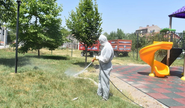 İnönü Belediyesi haşereyle mücadele çalışmalarını yoğunlaştırıyor