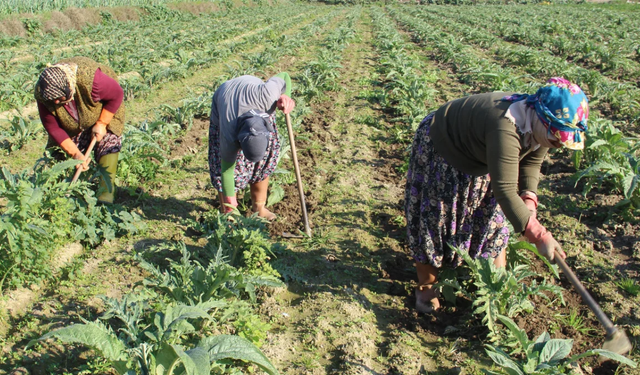 Eskişehir'de hangi tarım ürünleri yetişiyor?