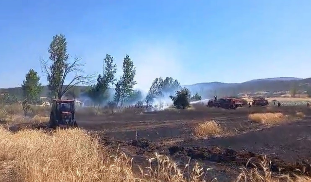 Komşuda korkutan yangın: Buğday ekili alan alevlere teslim oldu