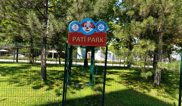 Eskişehir’de hayvanseverler için sevindirici haber: Pati Park açıldı