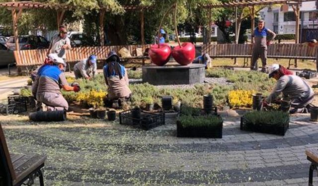 Vişnelik Mahallesi'nde park çalışmaları gerçekleştirildi