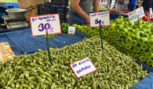 Eskişehir'de bamya porsiyonla satılmaya başlandı