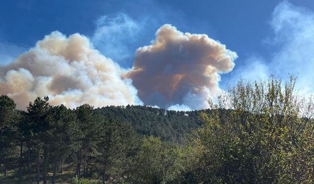 ESTÜ Rektörü Özcan'dan Bolu yangını için geçmiş olsun mesajı