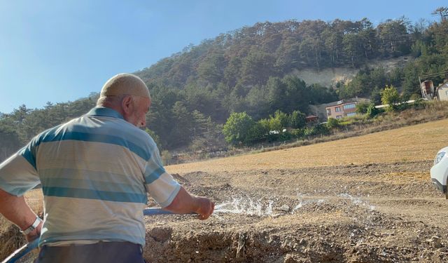 Eskişehir'e kadar ulaşan Bolu'daki orman yangını kontrol altına alındı