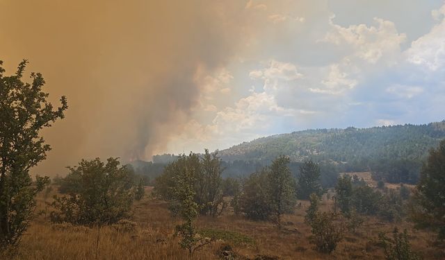 AFAD'dan yangına ilişkin açıklama