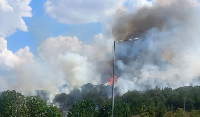 Bilecik'teki yangın bölgesinde soğutma çalışmaları sürüyor