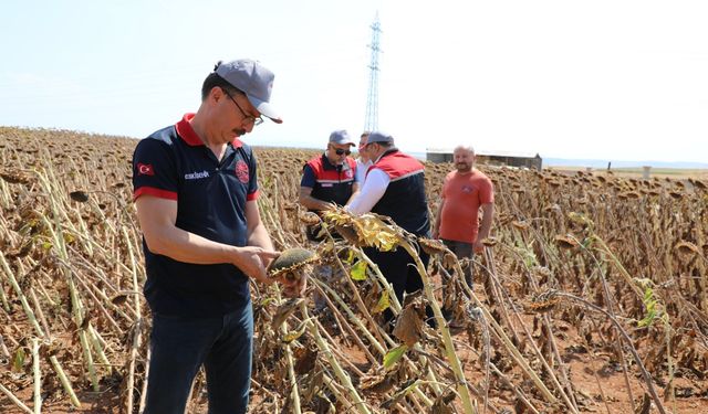 Eskişehir tarımında üretimin modeli değişiyor