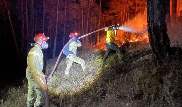 Aydın'da çıkan yangına Eskişehir'den seferber olundu