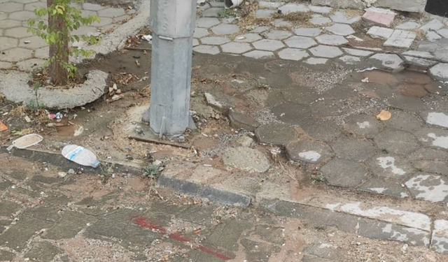 Eskişehir Büyükdere Topuzlu Sokak'ta elektrik kaçağı iddiası