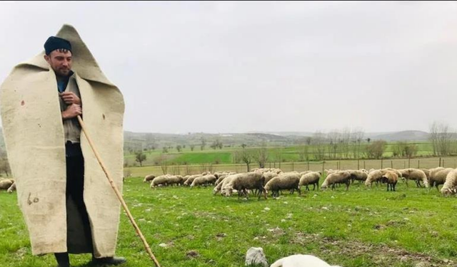 Eskişehirli çobanlara müjde: Tarım ve Orman Bakanlığı destek verecek