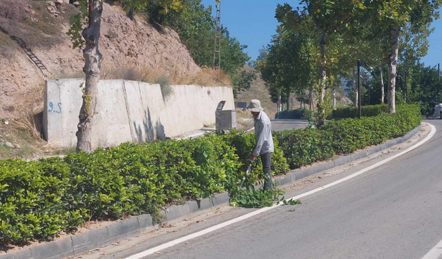 Mihalgazi Belediyesi'nden bakım çalışmaları