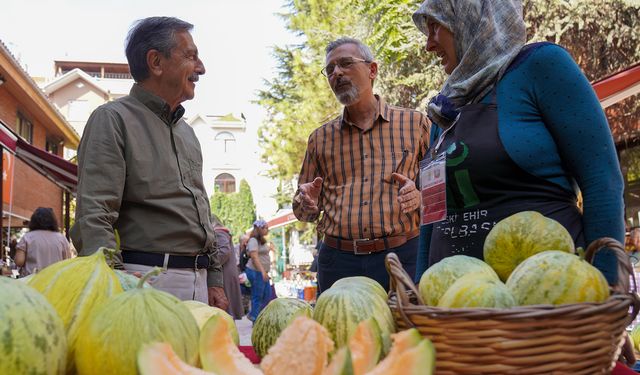 Bağrıbütün kavunu Eskişehirlileri bekliyor