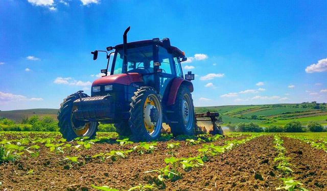 Devletten tarlası olanlara müjde: Her ay bu ödemeyi alacaklar