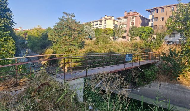 Göztepe'deki kanal köprüsü bakımsızlıktan dökülüyor