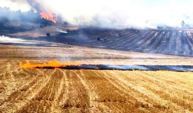 Komşuda anız yangını ormana sıçradı: Alevlere müdahale edildi