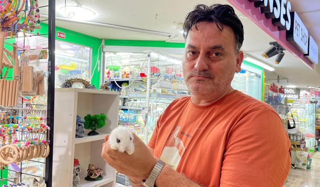 Eskişehir'de pet shop'lardan alınan hayvanlar geri getiriliyor