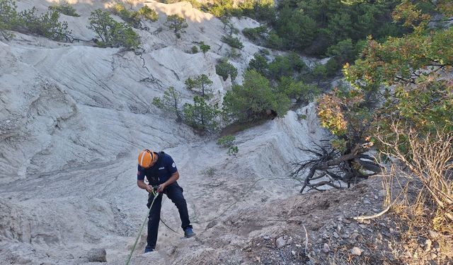 Eskişehir'de yamaca sıkışan keçinin imdadına AFAD ekipleri koştu