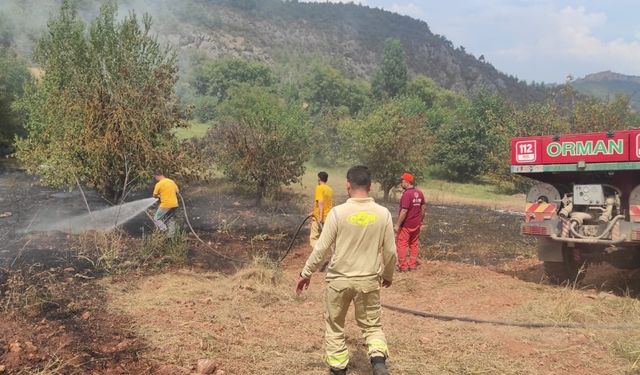 Bilecik Göksu Nehri kıyısında yangın çıktı