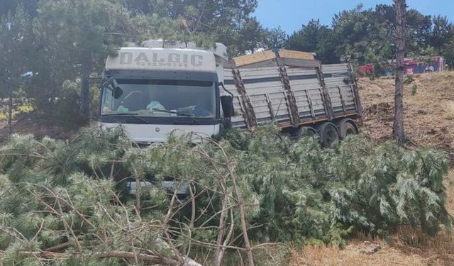 Eskişehir'de kontrolden çıkan tır otluk alana girdi