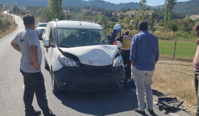 Kütahya'daki kazada sürücü ve koyun yaralandı