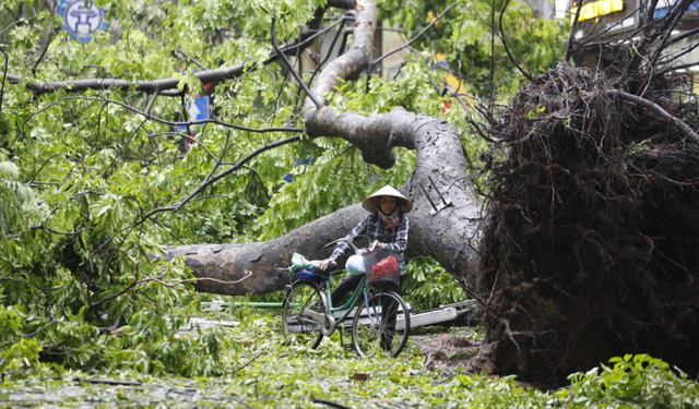 Vietnam’da Yagi felaketi: 87 kişi öldü