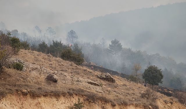 Eskişehir'den Yeşilhisar yangınına müdahale için destek