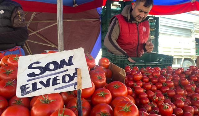 Eskişehir'in pazarında son domatesler: Ucuz ve lezzetli domateslere veda edildi