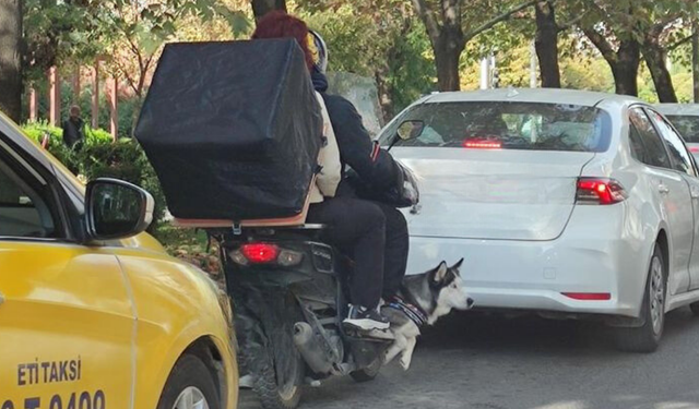 Eskişehir'de yürekleri ağza getiren görüntü: Köpeği motosiklette böyle taşıdılar!