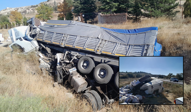 Eskişehir'de yoldan çıkan tır otluk alana devrildi: Vatandaşlar yardıma koştu