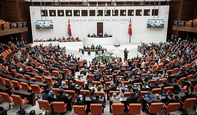 Kadınlara yönelik şiddet ve ayrımcılığı önlemek için meclis araştırma komisyonu kurulacak