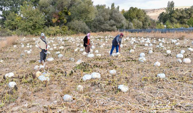 Eskişehir'de üretici kadınlar büyük bir gurur yaşıyor