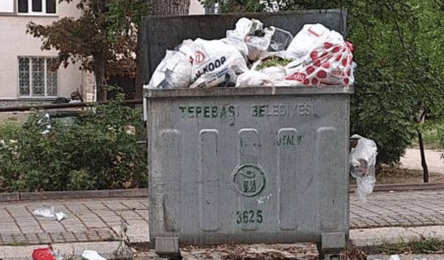 Uluönder Mahallesi'nde toplanmayan çöpler tepki çekti