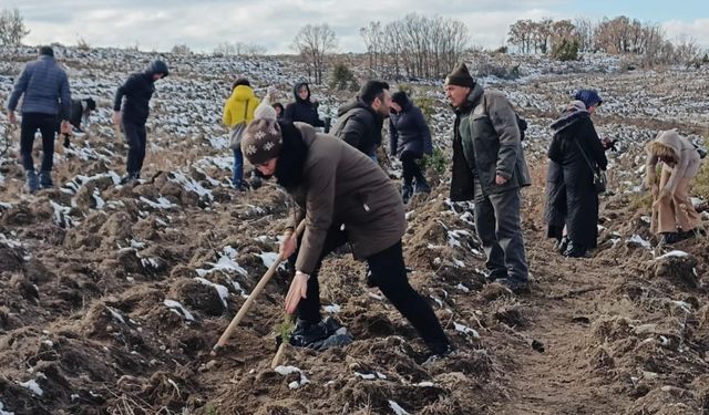 5234 adet fidan dikimi etkinliği gerçekleştirildi