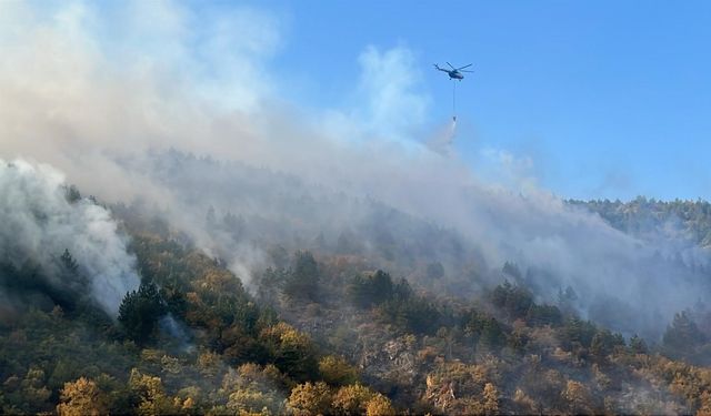 Bilecik'te orman yangını kontrol altına alındı