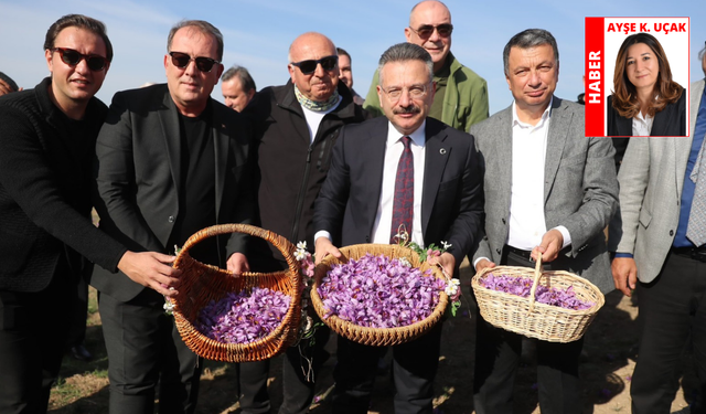 Türkiye’de Eskişehir, dünyada İran! Eskişehir safran üretiminde lider