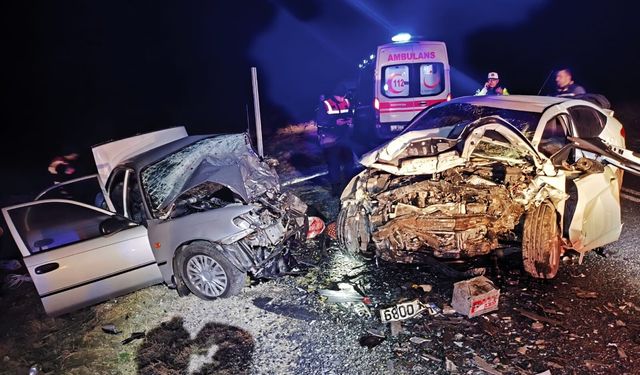 "Yolun tamamlanması için daha kaç hemşehrimizin hayatını kaybetmesi gerekiyor?"