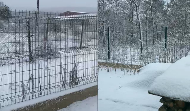 Eskişehir'de kar yağışı başladı: Her yer beyaza büründü!