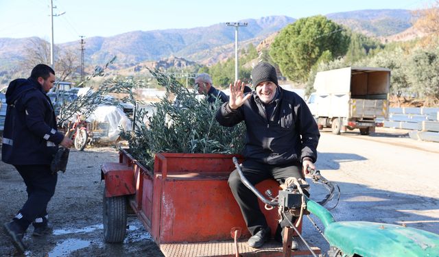 Eskişehir Büyükşehir'den üreticilere can suyu: 17 bin Gemlik zeytin fidanı dağıtıldı