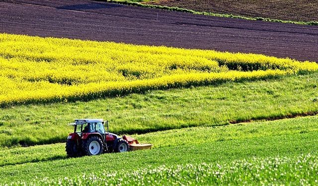 Tarlası olanlara haber verin: Bu başvuru ile 250 bin lira alacaklar